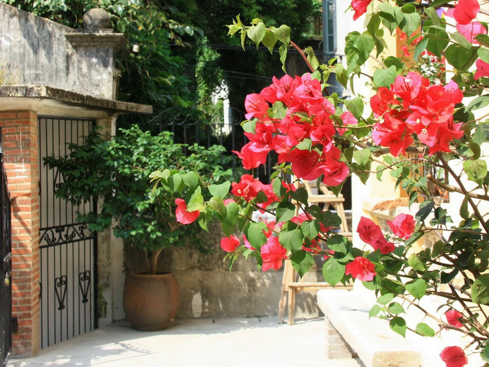 Xiamen Gulangyu Judy'S Inn Exterior photo